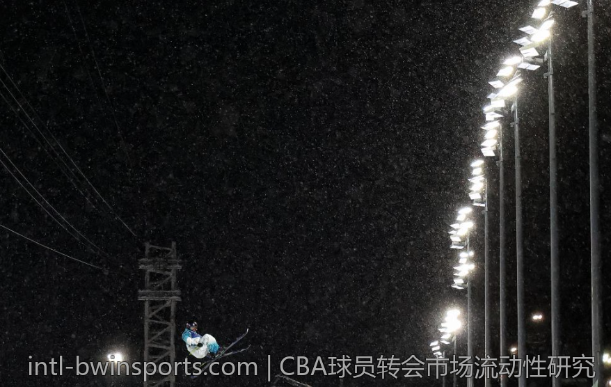 CBA球员转会市场流动性研究